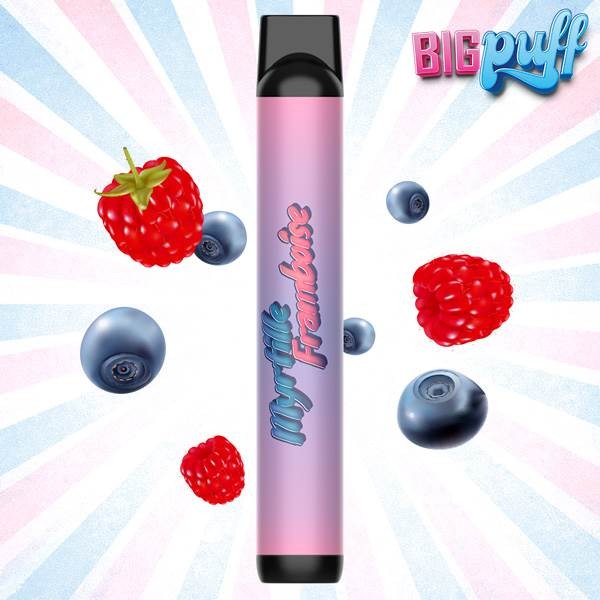 Myrtille Framboise 600 puffs